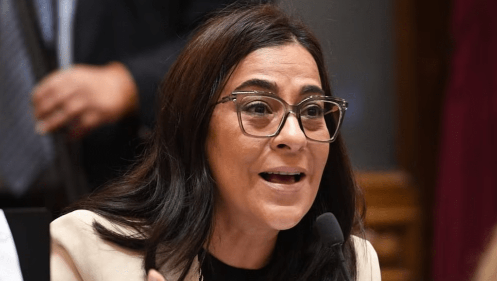 Carolina Moisés apuntó a La Cámpora por bloquear el debate y la renovación&nbsp;partidaria