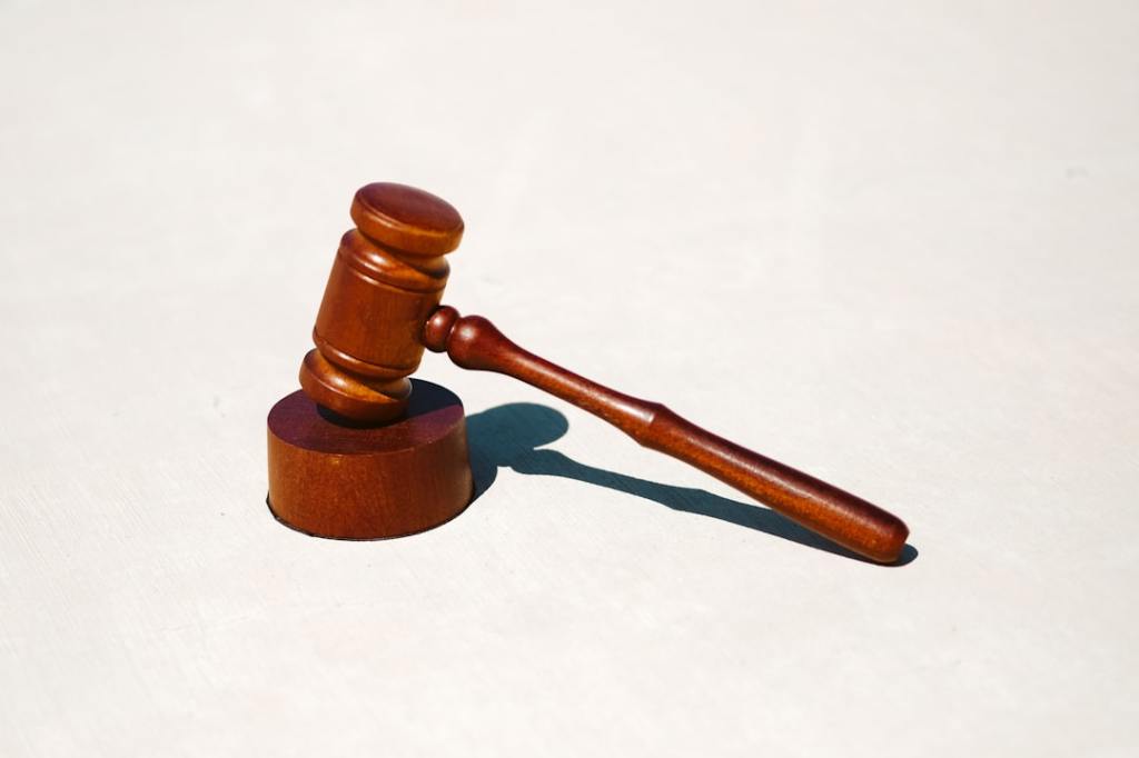 Perpetua para la madre que mató a su hija y responsabilizó a su&nbsp;hijo