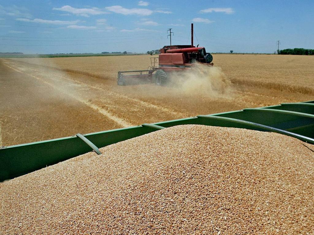 La Pampa exportó más de USD 380 millones en el primer cuatrimestre en un contexto de apertura&nbsp;económica