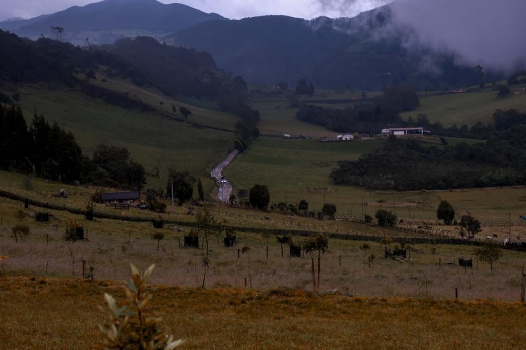 Ganaderos e industria cárnica buscan unidad para impulsar ventas al exterior