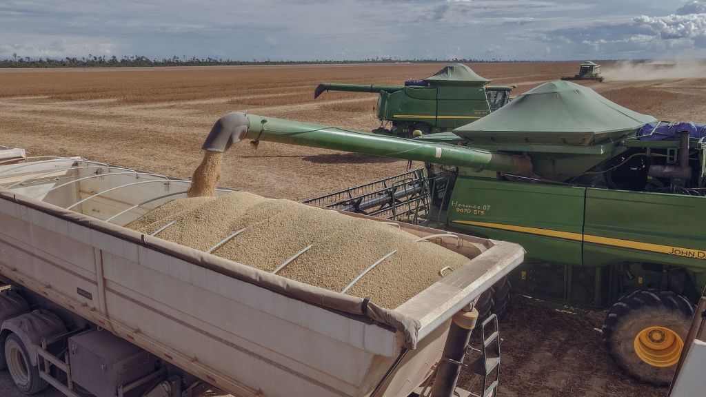 Molienda cercana a 4,2 millones de toneladas: predicción para&nbsp;agosto